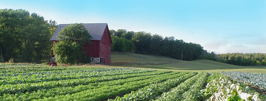 Second Spring Farm - Organic Farming in Northern Michigan